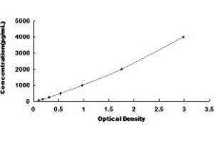 Typical standard curve (REG1B ELISA 试剂盒)