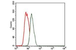 Flow cytometric analysis of MCF-7 cells using NKX2. (Nkx2-2 抗体)