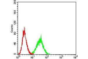 Flow cytometric analysis of Ramos cells using CD1C mouse mAb (green) and negative control (red). (CD1c 抗体  (AA 18-302))
