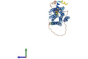 Protein Structure (PS) image for G Protein-Coupled Receptor 84 (GPR84) (AA 1-396) protein (His tag) (ABIN7559377)
