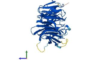 AlphaFold protein structure predicition of Mouse Recombinant Dcaf7 Protein, UniprotID P61963