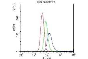 Flow Cytometry analysis of U937 cells using anti-CD31 antibody . (CD31 抗体  (AA 28-382))