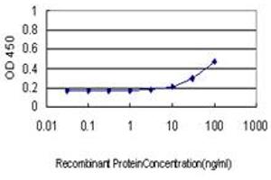 Detection limit for recombinant GST tagged CD96 is approximately 3ng/ml as a capture antibody. (CD96 抗体  (AA 1-402))