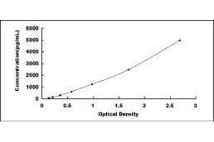 Lysyl Oxidase (LOX) ELISA Kit