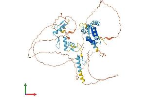 Protein Structure (PS) image for Zinc Finger and BTB Domain Containing 44 (ZBTB44) (AA 1-570) protein (His tag) (ABIN7545243)
