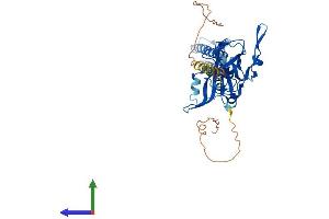 Protein Structure (PS) image for Potassium Inwardly-Rectifying Channel, Subfamily J, Member 12 (KCNJ12) (AA 1-427) protein (His tag) (ABIN7563413)