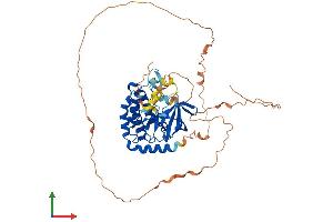 Protein Structure (PS) image for Receptor-Interacting serine-threonine Kinase 3 (RIPK3) (AA 1-486) protein (His tag) (ABIN7561832)