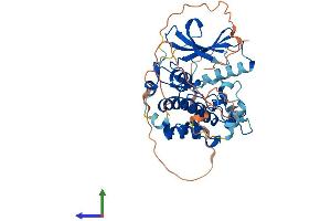 Protein Structure (PS) image for STE20-Related Kinase Adaptor beta (STRADB) (AA 1-418) protein (His tag) (ABIN7559584)
