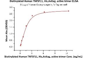 ELISA image for Tumor Necrosis Factor (Ligand) Superfamily, Member 11 (TNFSF11) (AA 64-245) (Active) protein (His tag,AVI tag,Biotin) (ABIN6973285)