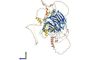 Protein Structure (PS) image for Breast Carcinoma Amplified Sequence 3 (BCAS3) (AA 1-928) protein (His tag) (ABIN7564537)