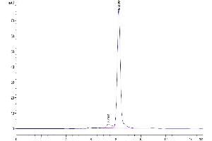 Size-exclusion chromatography-High Pressure Liquid Chromatography (SEC-HPLC) image for Carbonic Anhydrase IX (CA9) (AA 32-390) protein (His tag) (ABIN7274015)