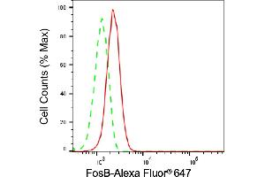 Flow cytometric analysis of FosB expression in HepG2 cells using FosB antibody (ABIN7798587), 1:2,000). (Recombinant FOSB 抗体)