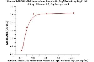Immobilized Human IL-2, Tag Free (ABIN6386425,ABIN6388245) at 5 μg/mL (100 μL/well) can bind Human IL-2RB&IL-2RG Heterodimer Protein, His Tag&T Tag (ABIN6992422) with a linear range of 20-78 ng/mL (QC tested).