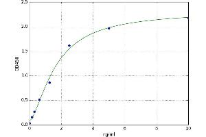 Neogenin 1 (NEO1) ELISA Kit