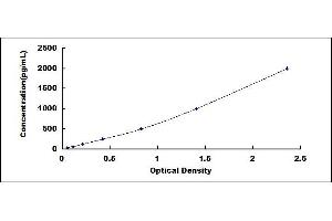 Typical standard curve (SULF2 ELISA 试剂盒)