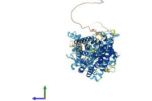 Protein Structure (PS) image for Chloride Channel 3 (CLCN3) (AA 1-818) protein (His tag) (ABIN7563395)