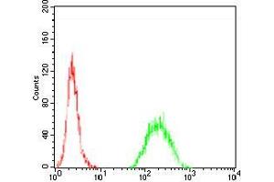 Flow cytometric analysis of Hela cells using TIP60 mouse mAb (green) and negative control (red). (KAT5 抗体  (AA 18-208))