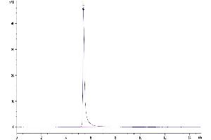 The purity of Rhesus macaque ITGAV&ITGB6 is greater than 95 % as determined by SEC-HPLC. (ITGAV/ITGB6 Protein (AA 31-993) (His tag))