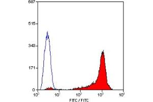 Staining of rat thymus cells with MOUSE ANTI RAT CD90 (THY-1. (CD90 抗体  (FITC))