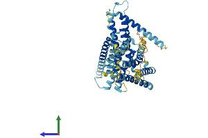 AlphaFold protein structure predicition of Mouse Recombinant Lmbr1l Protein, UniprotID Q9D1E5