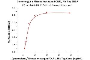 Immobilized A Antibody,Mouse IgG1 at 1 μg/mL (100 μL/well) can bind Cynomolgus / Rhesus macaque FOLR1, His Tag (ABIN5674653,ABIN6386457) with a linear range of 1-5 ng/mL (Routinely tested).