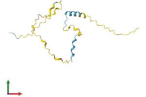 Protein Structure (PS) image for Proline Rich 13 (PRR13) (AA 1-137) protein (His tag) (ABIN7560551)