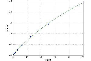 Pyruvate Carboxylase (PC) ELISA Kit