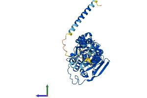 Protein Structure (PS) image for Molybdenum Cofactor Synthesis 3 (MOCS3) (AA 1-460) protein (His tag) (ABIN7561970)
