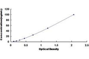 Typical standard curve (FGA ELISA 试剂盒)