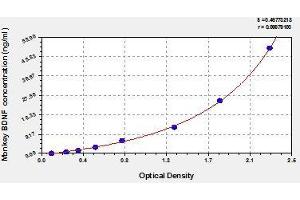 Typical standard curve (BDNF ELISA 试剂盒)