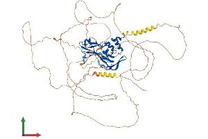 AlphaFold protein structure predicition of Human Recombinant TBX3 Protein, UniprotID O15119