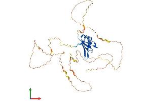 Protein Structure (PS) image for Ataxin 2-Binding Protein 1 (A2BP1) (AA 1-396) protein (His tag) (ABIN7561567)