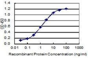 Detection limit for recombinant GST tagged ZNF12 is 0. (ZNF12 抗体  (AA 69-175))