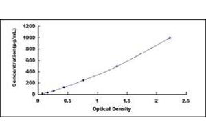 Typical standard curve (BMP8A ELISA 试剂盒)