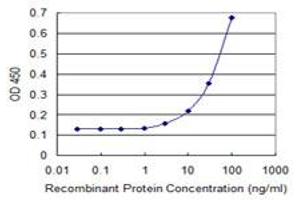 Detection limit for recombinant GST tagged UGT1A3 is 1 ng/ml as a capture antibody. (UGT1A3 抗体  (AA 30-129))