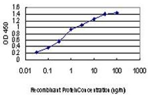 Detection limit for recombinant GST tagged MAP3K1 is approximately 0. (MAP3K1 抗体  (AA 1211-1310))