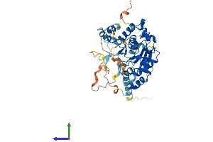 Protein Structure (PS) image for Glucosaminyl (N-Acetyl) Transferase Family Member 7 (GCNT7) (AA 1-433) protein (His tag) (ABIN7557358)