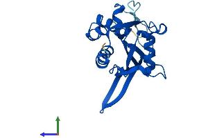 AlphaFold protein structure predicition of Mouse Recombinant Nudt14 Protein, UniprotID Q9D142 (NUDT14 Protein (AA 1-222) (His tag))