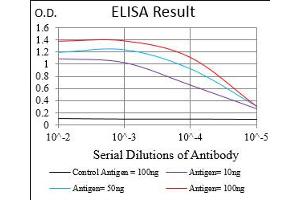 Black line: Control Antigen (100 ng), Purple line: Antigen(10 ng), Blue line: Antigen (50 ng), Red line: Antigen (100 ng),
