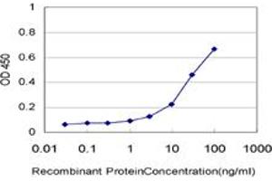 Detection limit for recombinant GST tagged CASP14 is approximately 1ng/ml as a capture antibody. (CASP14 抗体  (AA 133-242))