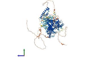 Protein Structure (PS) image for Autophagy Related 9B (ATG9B) (AA 1-924) protein (His tag) (ABIN7552493)