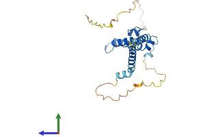 Protein Structure (PS) image for DnaJ (Hsp40) Homolog, Subfamily C, Member 30 (DNAJC30) (AA 1-219) protein (His tag) (ABIN7556534)