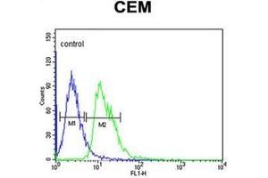 Flow cytometric analysis of CEM cells using DIAPH2 Antibody  (right histogram) compared to a negative control cell (left histogram). (DIAPH2 抗体  (Middle Region))