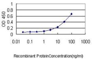 Detection limit for recombinant GST tagged PARVG is approximately 0. (PARVG 抗体  (AA 1-331))