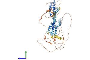 Protein Structure (PS) image for Potassium Voltage-Gated Channel, KQT-Like Subfamily, Member 4 (KCNQ4) (AA 1-695) protein (His tag) (ABIN7554240)