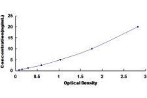 ELISA image for Endothelin Receptor Type B (EDNRB) ELISA Kit (ABIN415143)