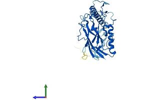 Protein Structure (PS) image for ATPase, H+/K+ Exchanging, beta Polypeptide (ATP4b) (AA 1-291) protein (His tag) (ABIN7552404)