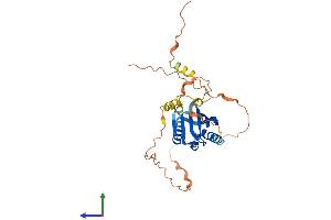 Protein Structure (PS) image for Chromosome 6 Open Reading Frame 136 (C6ORF136) (AA 1-315) protein (His tag) (ABIN7553282)