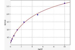 Typical standard curve (PEBP1 ELISA 试剂盒)