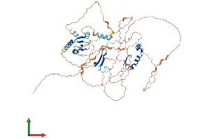 AlphaFold protein structure predicition of Human Recombinant DBF4B Protein, UniprotID Q8NFT6